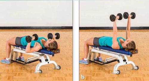 如何鍛煉出健碩胸肌 5個高效動作與腿部訓練器的協同作用